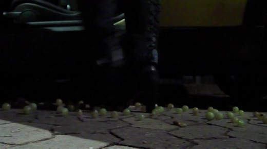 Candid Grape Crush 6