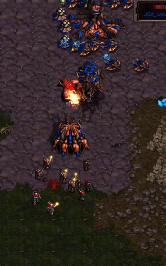 Scan busting Larva's front?!?!? | #falconpaladin #starcraft #broodwar #gaming #starcraftbroodwar