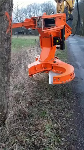 Powerful Orange Tree-Cutting Machine in Action