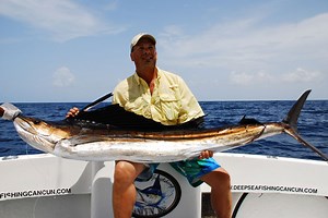 Sailfish | sailfishing Cancun and Isla Mujeres (Best charter 2026)