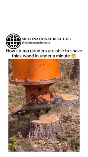 🌍 MULTINATIONAL REELS HUB on Instagram: "Stump grinders can destroy a solid tree stump in under a minute because they don’t cut like a saw — they pulverize it. A high-speed spinning wheel fitted with ultra-hard carbide teeth repeatedly chips away small pieces of wood, turning dense roots into fine mulch. Each pass removes only a few millimeters, but the rapid rotation and torque make the process incredibly fast. The grinder works side to side, lowering slightly with every sweep, until the stump