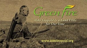 323 reactions · 170 shares | Is this Emmy Award winning film part of your curriculum? Green Fire explores Aldo Leopold’s life, work, and enduring idea of a land ethic. Now available for streaming. | Aldo Leopold Foundation | Facebook