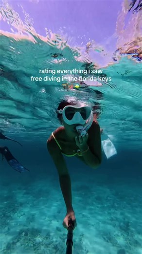 jeana butler on Instagram: "love the florida keys 🪸🐠🤿 • • • #ocean #oceanlife #floridakeys #underwater #freediving"