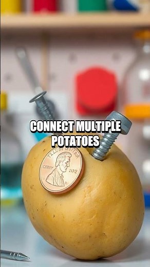 DIY Potato Battery Experiment