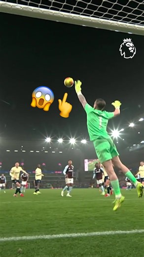 Unbelievable Jordan Pickford Save in Premier League Match