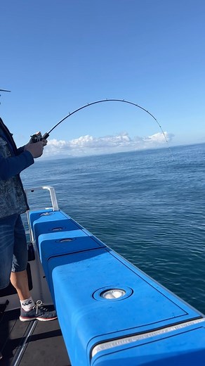 7.9K views · 241 reactions | This is damn lethal. The Ocean Angler “Bender” slow jig rod pairs d with our G Bomb lured a work so well. It's almost unfair. Who has tried this combo ? | Ocean Angler | Facebook