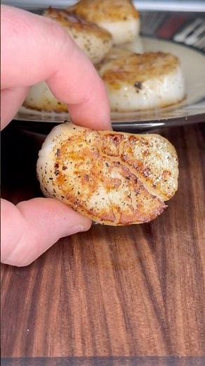 Seared Scallops! #Scallops #Shellfish #Seafood #Recipes #Scallop #Gourmet #CookingAtHome #Foodie