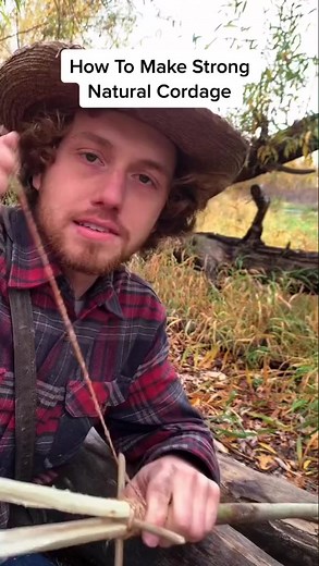 How to make super strong cordage in the wild. #fyp #foryoupage #survival #bushcraft #traditionalskills #survivaltok #skills #naturelover #goodmorning(7022487262873062662) | Garden Idea