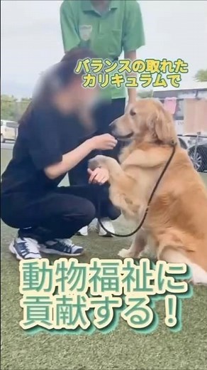 動物福祉介護コースとは…🐶動物福祉を専門に、とことん学べるコース！！実際のカリキュラムをちょこっとご紹介👀#アジア動物専門学校 #犬 #わんこ #愛犬 #保護犬
