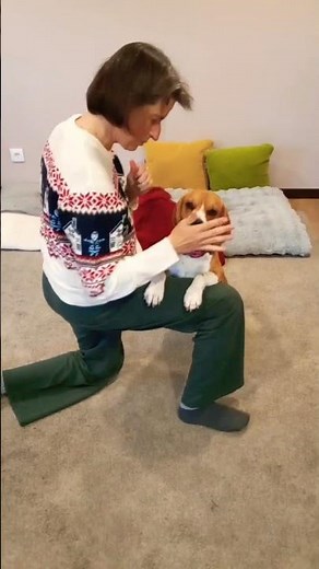 DogTraining - BEAGLE learns new trick! #dogtraining #tricktraining #beagle