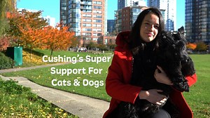 13 reactions | When your pet is diagnosed with Cushing's, it can be...