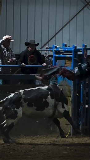 You think he’s dizzy? 🚁 Rider: @Daniel Koehler RIDERS & CREWS: If you spot yourself, tag it or shoot me a DM so I can credit you. I move around a lot so capturing every rider can get very difficult. If you’re wondering if I caught your ride, check the page. If it’s posted, I’ve got it. Want the photo or clip? Reach out and we’ll make it happen. Feel free to DM me. No livestock harmed. These are trained riders and stock doing what they do. It’s their job. If you swing around nonsense, you’ll be 