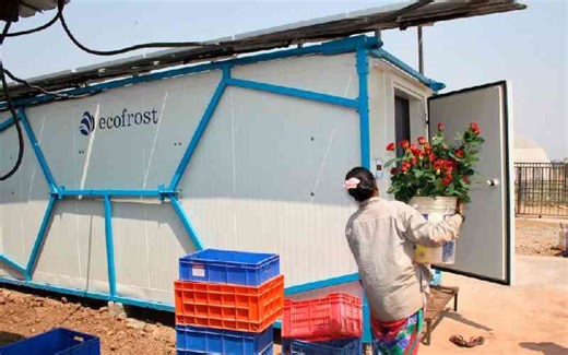 Farmers turn to digital cold chains to beat post-harvest losses