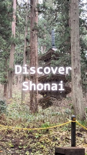 What to Do in Shonai in 30 Seconds | YAMAGATA ##japan #shonai #yamagata