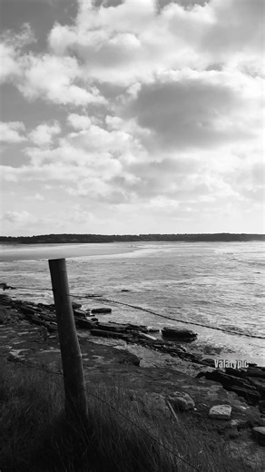 Mon vieux : Une chanson de nostalgie et de souvenirs