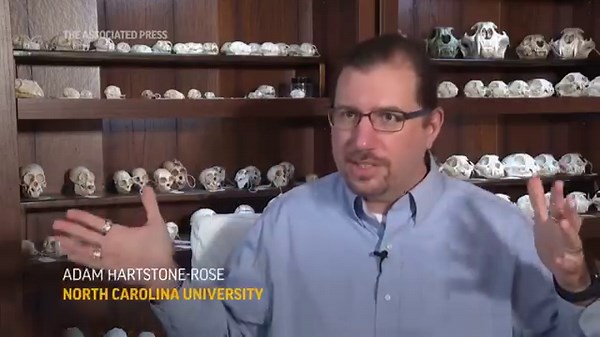 The upcoming solar eclipse will give scientists a rare opportunity to study the behavior of animals. | The North Platte Telegraph | Facebook