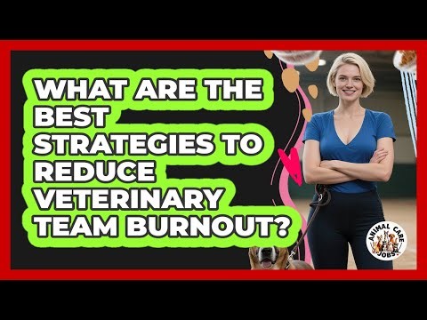 What Are The Best Strategies To Reduce Veterinary Team Burnout? - Animal Care Jobs