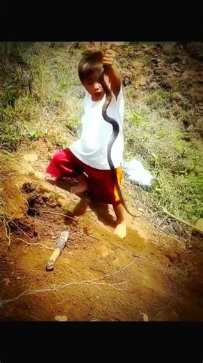 Brave Kid Pulls Snake Out of Its Hole 😱 You Won’t Believe This!
