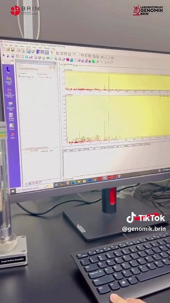 Analisis GC-MS: Memahami Teknik Kromatografi Gas