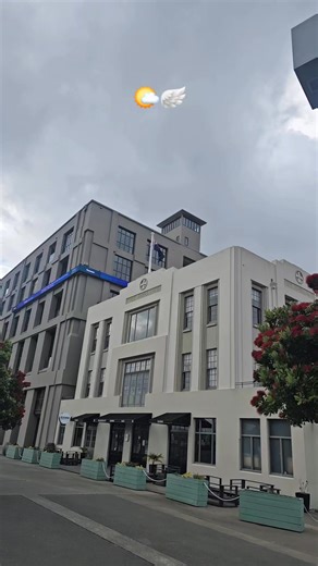 13K views · 26 reactions | Bit over cast this am, but lk at what these fellas and fellusses are doing on a Sun morning BONUS pics of the soon to be demo'd city to sea bridge #wellingtonlive #newzealand #thenewsisinthecomments | Wellington - LIVE | Facebook