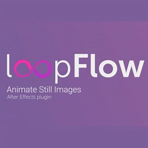 loopFlow -