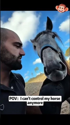 Laughing With Funny Horses😂🐴 ..........[277]