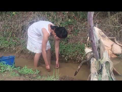 Amazing fishing by beautiful girl Cambodia Traditional Fishing How to catch fish by hand part 05