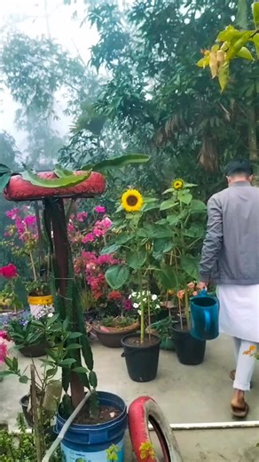 Khalilur Rahman | Morning Garden View & Self Activities At Home Garden 🏡.....🍂 . . . . . #reelvideo #gardening #flowers | Instagram