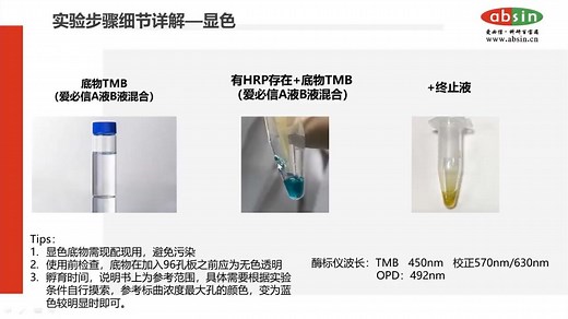 ELISA实验原理、技巧及ELISA实验中的常见问题答疑