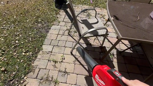 Watch All the things to know about this electric leaf blower on Amazon Live