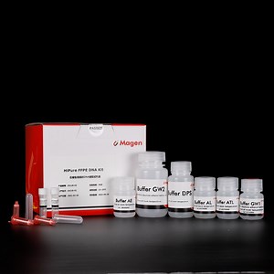 [Hot Item] Hipure Ffpe DNA Kit Isolation Total DNA with Spin Mini Column