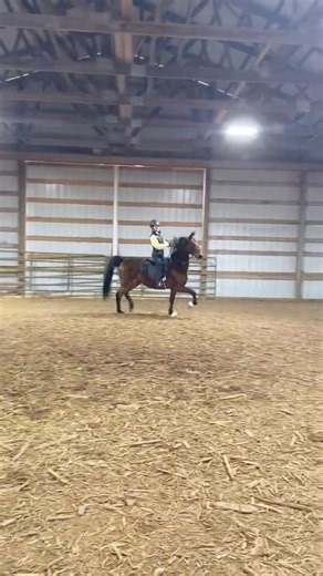 the best girl 💗 #asb #eq #mare #saddlebred #saddleseat #equitation #equestrian #horse #horseriding