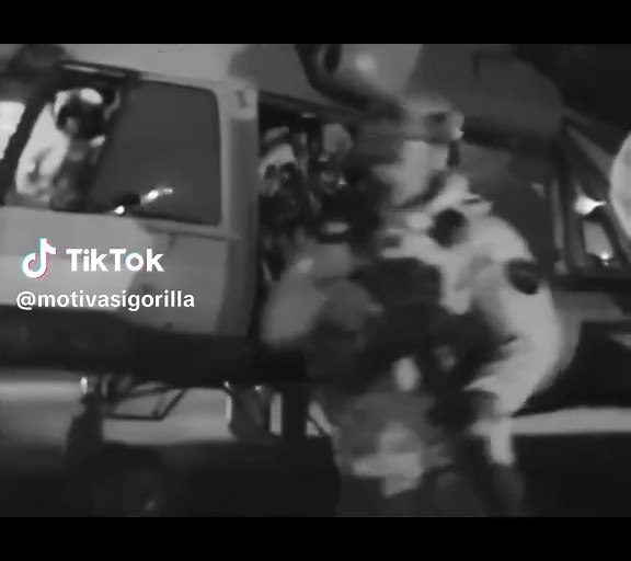 Understanding Navy SEALs: Elite Operations in All Environments