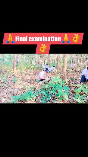 14K views · 354 reactions | Saw Day Kyaw on Reels | Facebook