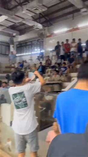 Last day sabong of 2025 see you in 2026🎉 | Solana Cockpit