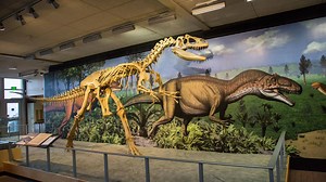 Where to Touch a Dinosaur, and Other Incredible National Park Fossil Sites