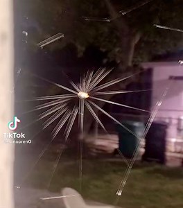 Simply amazing. Spiders are nature's artists! | The Domestic Curator