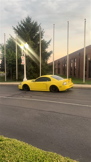 Exploring the Ford Mustang Cobra Terminator Features