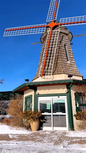 Winter feels endless… but spring is already blooming in here 🌿 If the cold has you feeling blah, come soak up a little green goodness. Brighter days are closer than you think 💚 | Dutch Saskatoon