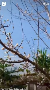 Platter Speciality by Baghicha Restaurant Charsadda & Peshawar | ☎️ 03189020003/2 | Baghicha Charsadda | Facebook