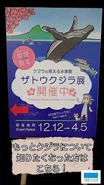 美ら海クラフト「大きさくらべぬりえ」