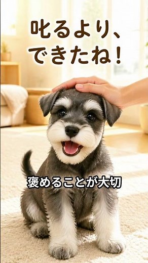 初めてミニチュアシュナウザーを飼う人へ｜0〜1歳の大切な接し方