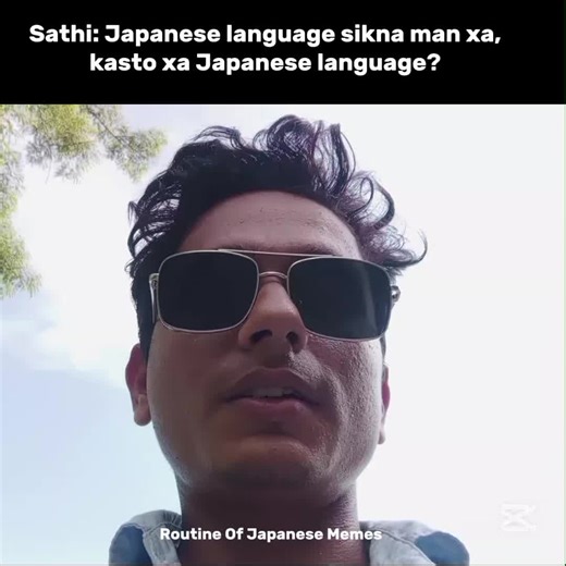 Japanese Language Memes: Study Routine and Humor