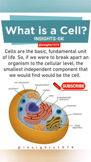 What is a Cell II #insights1979 #shorts #biology #science #upsc #ssc #gk #cellbiology #cell
