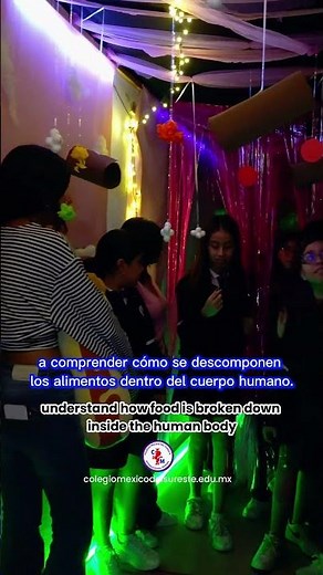 El sistema digestivo #secundaria #colegio #primaria #preparatoria #prepa #Escuela #Estómago ￼