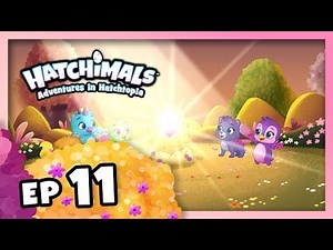 Hatchimals | Adventures in Hatchtopia S1 | Episode 11 – Eggclipse!