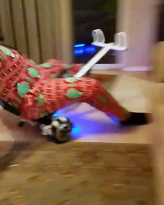 Have a lot on your plate this holiday season? Let us do the dishes. | Hefty