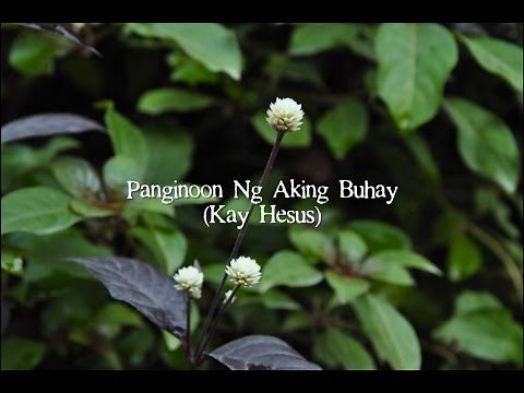 Panginoon ng Aking Buhay/Alay sa Pagsamba by Rommel Guevara Lyric Video