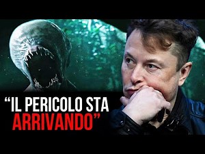 Quello che Elon Musk ha appena detto sugli alieni ti sconvolgerà!