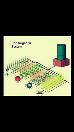 Drip Irrigation Explained | Benefits, Components & Suitability for Crops and Soils